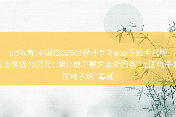 od体育(中国)2026世界杯官方app下载手机版 涉案总金额近40万元! 湖北咸宁警方连斩两条“上面电子烟”毒链