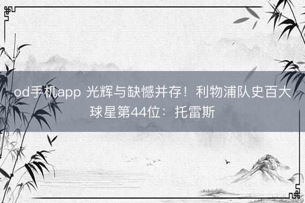 od手机app 光辉与缺憾并存!利物浦队史百大球星第44位:托雷斯